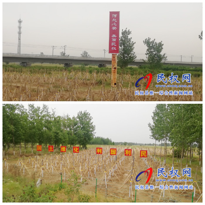 双塔镇倾力打造美丽家园 双塔镇倾力打造美丽家园