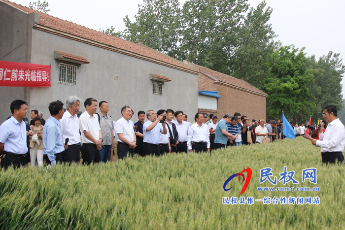 河南省2019年国审小麦新品种郑麦1860现场观摩会在民权县召开