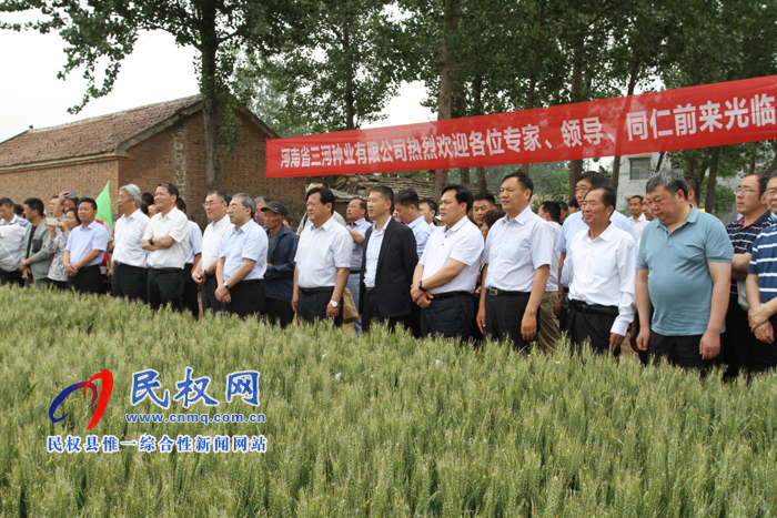 河南省2019年国审小麦新品种郑麦1860现场观摩会在民权县召开