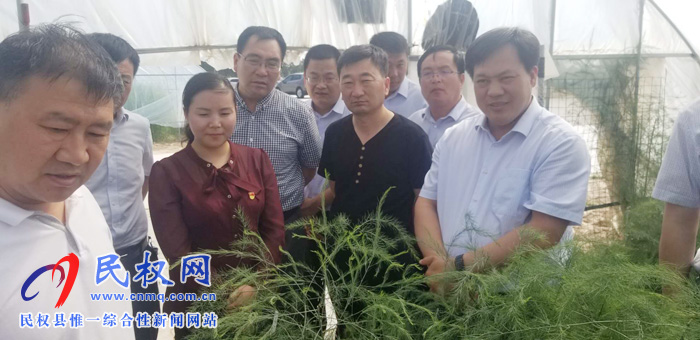 睢阳区副区长杨光磊一行到我县考察农业种植业结构调整工作 睢阳区副区长杨光磊一行到我县考察农业种植业结构调整工作