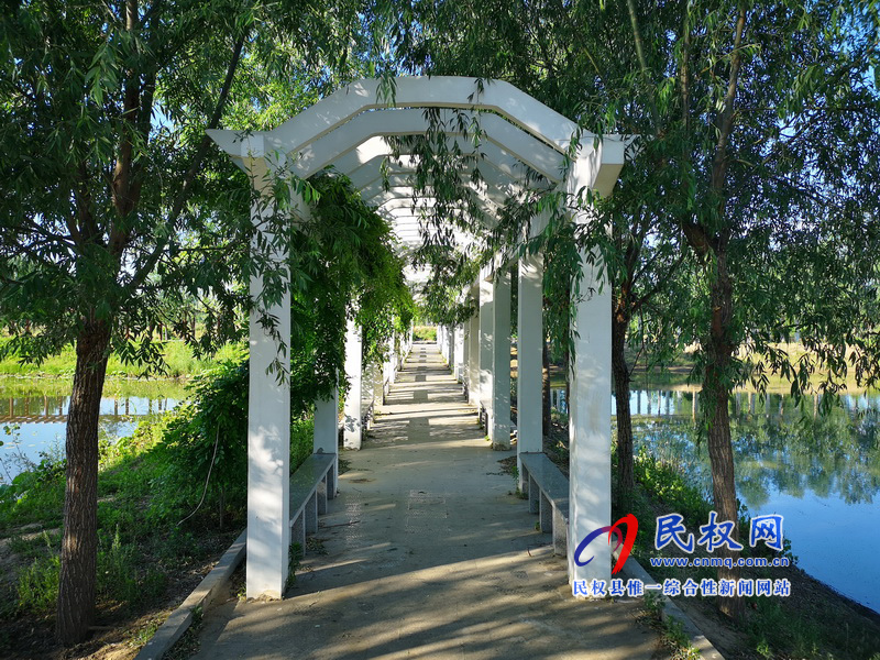 图说民权丨水乡任庄 图说民权丨水乡任庄