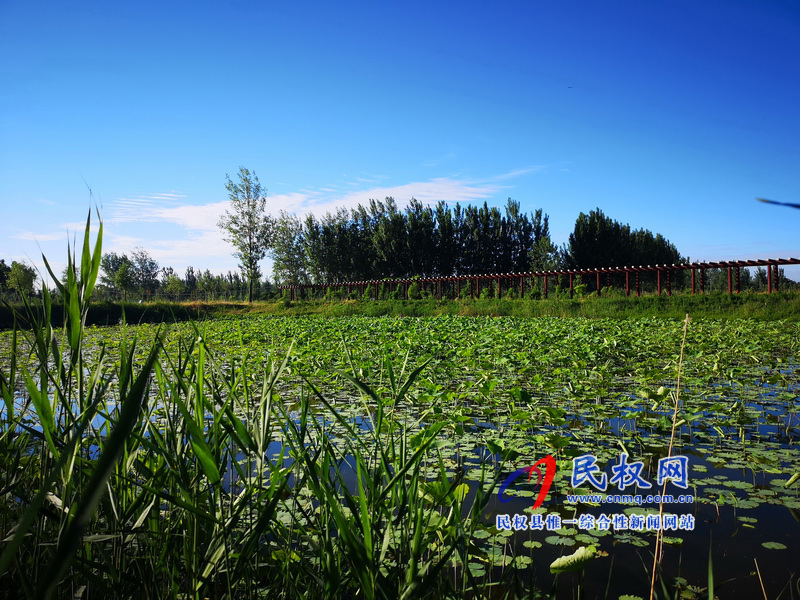 图说民权丨水乡任庄 图说民权丨水乡任庄