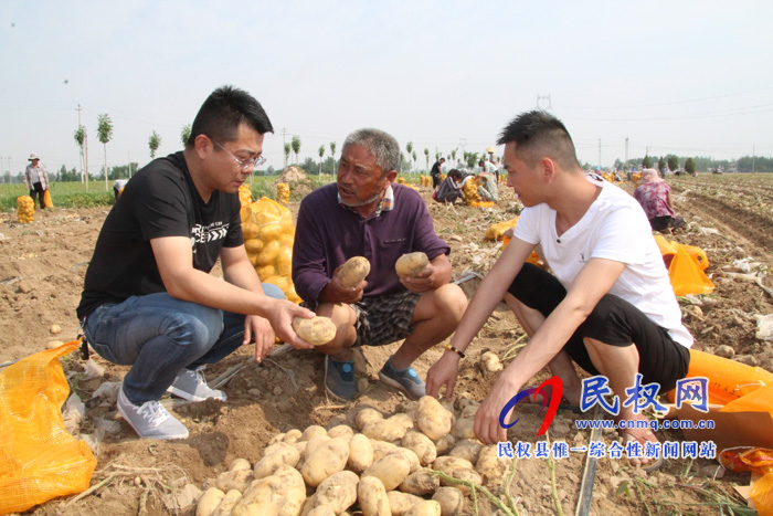 花园乡3000亩马铃薯喜获丰收 花园乡3000亩马铃薯喜获丰收