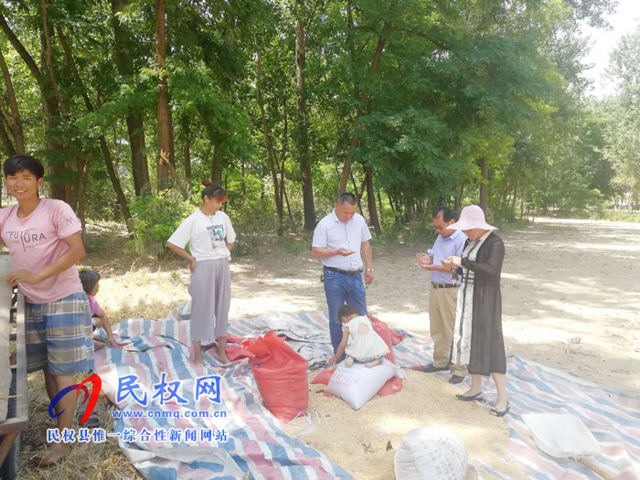 县农业农村局加强麦收期间秋作物的田间管理 县农业农村局加强麦收期间秋作物的田间管理