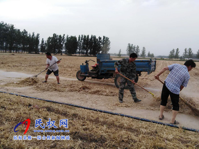 林七乡小麦收割工作顺利完成 林七乡小麦收割工作顺利完成