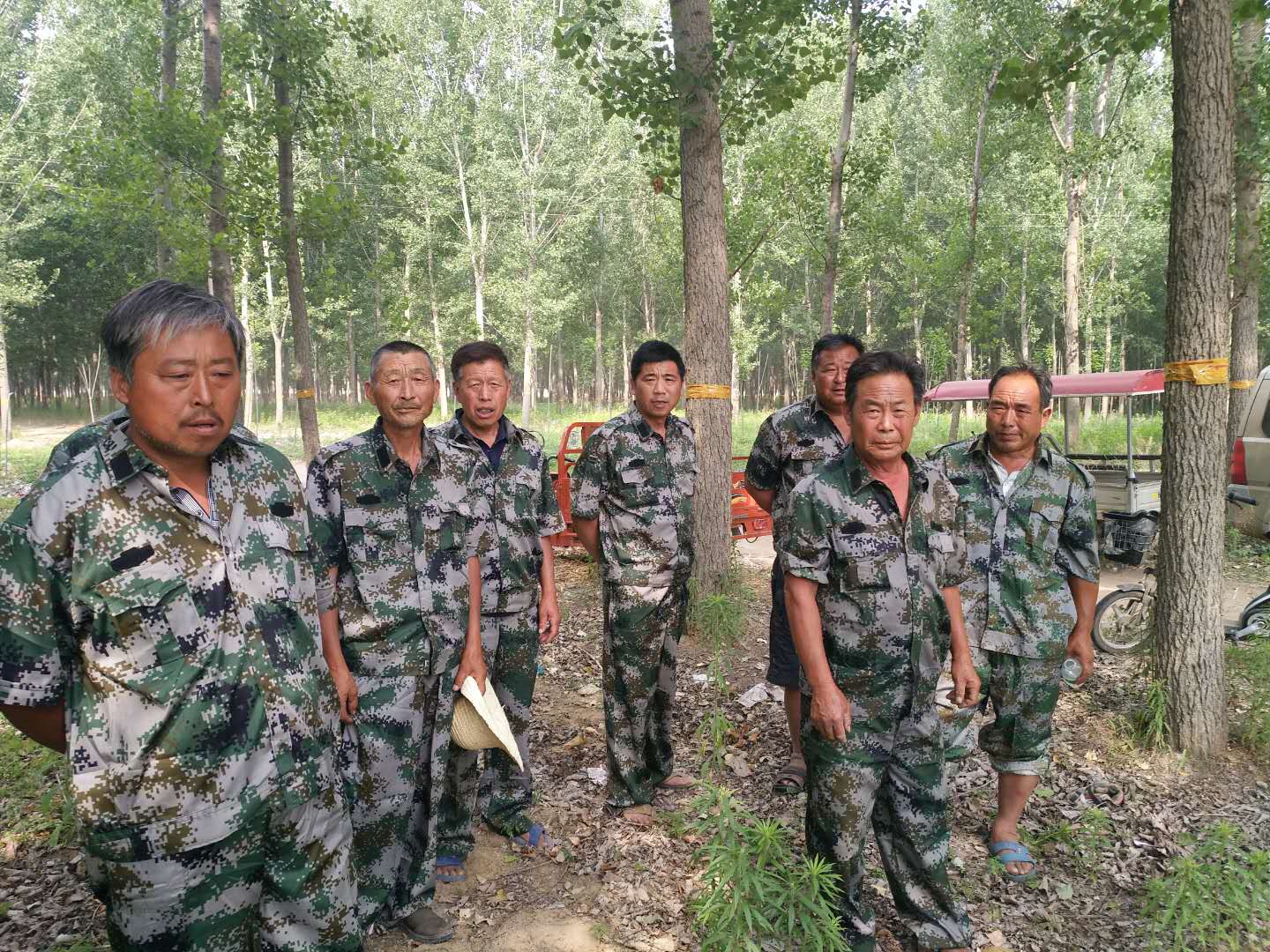 县林业发展服务中心强化林区秸秆禁烧工作 县林业发展服务中心强化林区秸秆禁烧工作