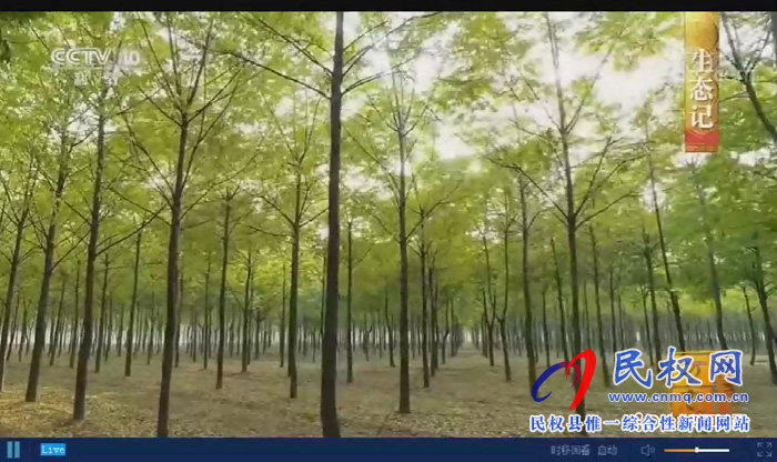 《中国影像方志•民权篇》在央视精彩播出后引发热烈反响 《中国影像方志•民权篇》在央视精彩播出后引发热烈反响