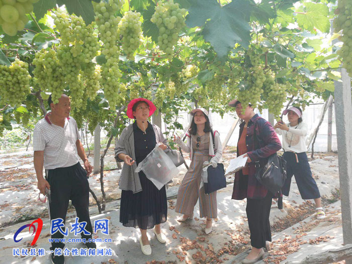 市农业农村局领导莅民开展农产品质量安全例行监测工作 市农业农村局领导莅民开展农产品质量安全例行监测工作