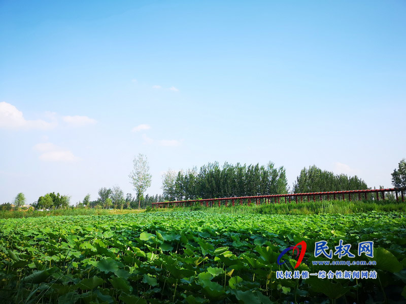 民权美景“民权蓝” 民权美景“民权蓝” 