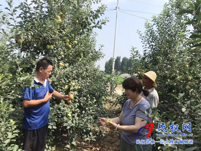 园艺站果树专家高温季节指导设施葡萄及其它果树夏季管理