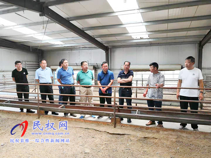 省畜牧技术推广站站长徐泽军莅临民权调研 省畜牧技术推广站站长徐泽军莅临民权调研