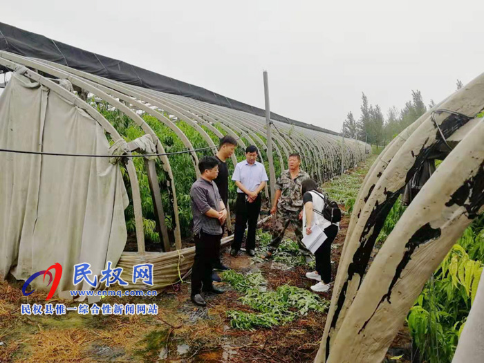 民权县农业农村局副局长李超到生产经营主体检查安全生产情况 民权县农业农村局副局长李超到生产经营主体检查安全生产情况