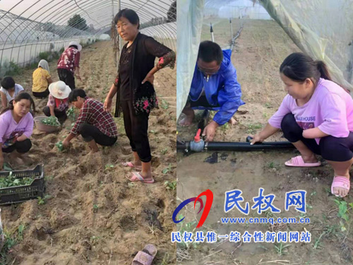 脱贫不脱志——黄土地里长出新希望 脱贫不脱志——黄土地里长出新希望