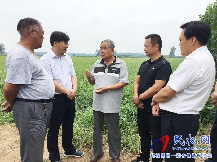 中国食品工业协会会长石秀诗到我县调研特色经济作物种植情况