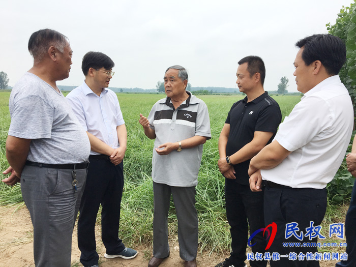 中国食品工业协会会长石秀诗到我县调研特色经济作物种植情况 中国食品工业协会会长石秀诗到我县调研特色经济作物种植情况
