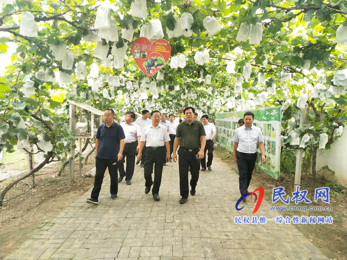 市政协巩固提升脱贫攻坚成果视察组一行莅临我县 市政协巩固提升脱贫攻坚成果视察组一行莅临我县