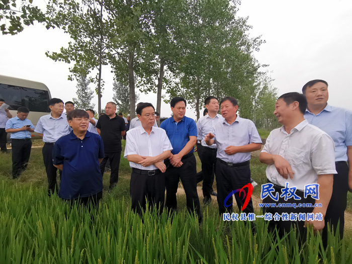 市人大常委会副主任、县委书记姬脉常调研我县稻渔综合种养工作 市人大常委会副主任、县委书记姬脉常调研我县稻渔综合种养工作