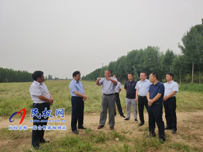 省政协副主席李英杰莅民调研油莎豆产业发展情况 省政协副主席李英杰莅民调研油莎豆产业发展情况
