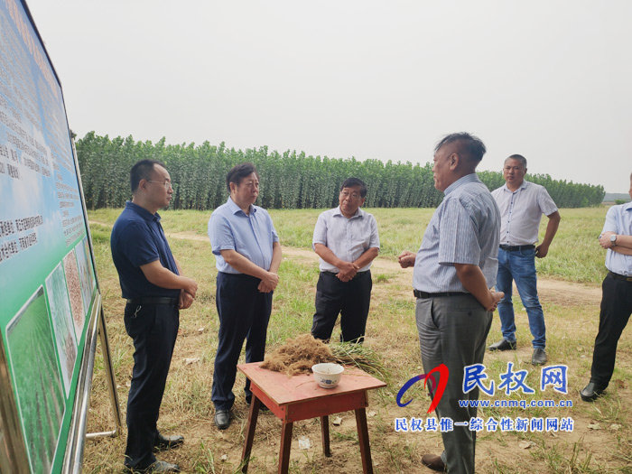 省政协副主席李英杰莅民调研油莎豆产业发展情况 省政协副主席李英杰莅民调研油莎豆产业发展情况