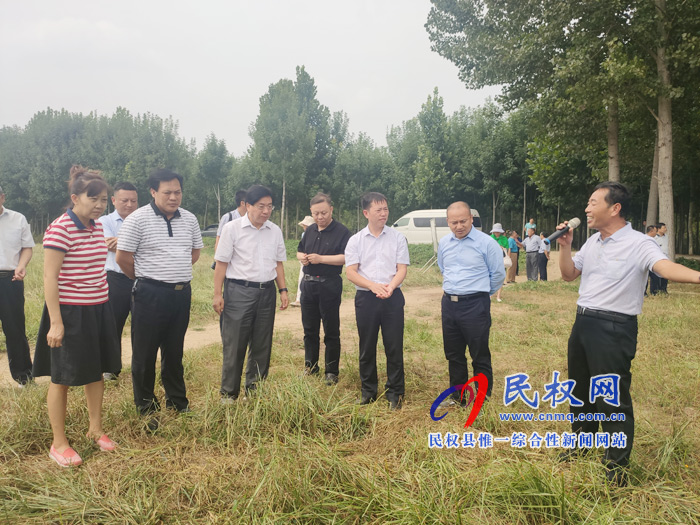 省政协副主席李英杰莅民调研油莎豆产业发展情况 省政协副主席李英杰莅民调研油莎豆产业发展情况