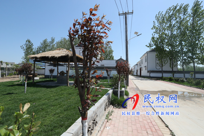 林七乡王岗村:让绿色点缀幸福生活 林七乡王岗村:让绿色点缀幸福生活