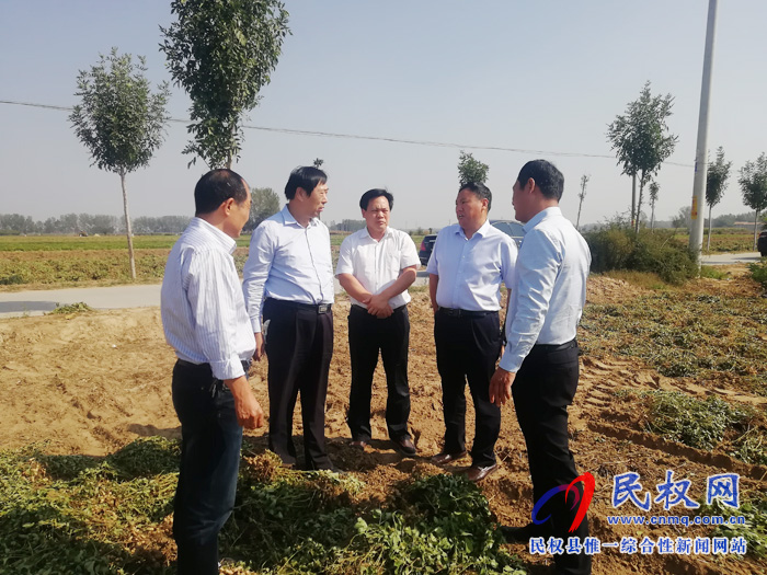 省农业农村厅党组成员、总农艺师王俊忠到双塔镇检查指导“三秋”生产工作 省农业农村厅党组成员、总农艺师王俊忠到双塔镇检查指导“三秋”生产工作