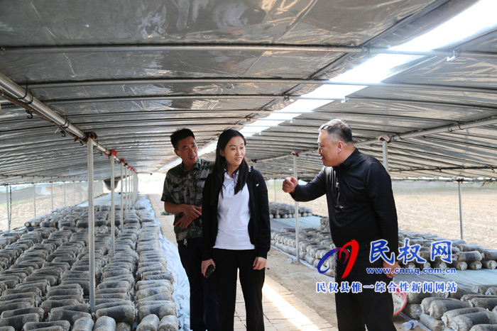 副县长朱琳到老颜集乡调研指导扶贫产业发展 副县长朱琳到老颜集乡调研指导扶贫产业发展