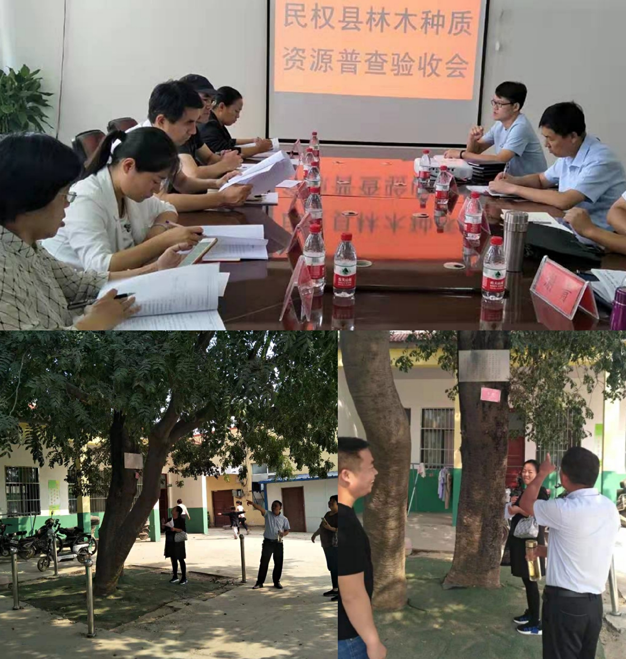 民权县林木种质资源普查工作接受市级验收 民权县林木种质资源普查工作接受市级验收