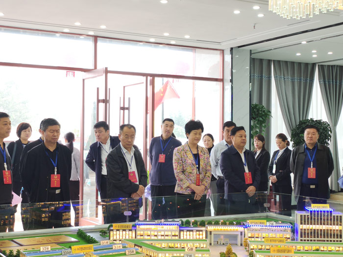 人大政协集中视察监督推进“十件实事” 人大政协集中视察监督推进“十件实事”