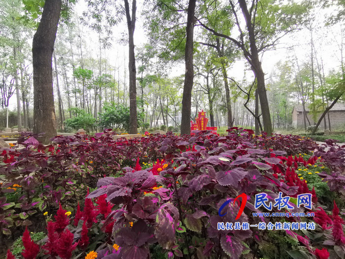 坐落在森林里的村庄——孙六镇任庄村 坐落在森林里的村庄——孙六镇任庄村