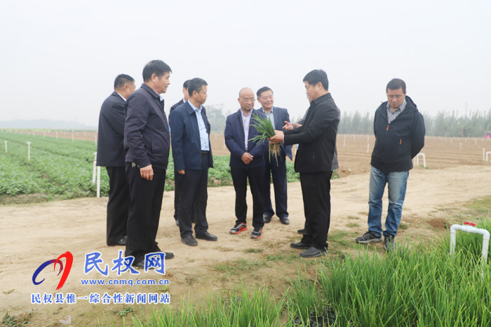 商丘市2019年主要农作物生产全程机械化现场会在我县召开 商丘市2019年主要农作物生产全程机械化现场会在我县召开