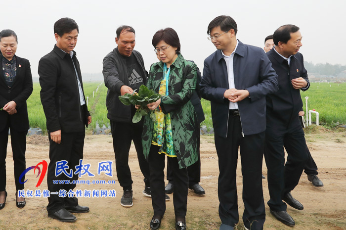 市委副书记陈向平到我县调研产业扶贫工作 市委副书记陈向平到我县调研产业扶贫工作