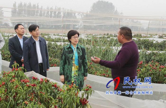 市委副书记陈向平到我县调研产业扶贫工作 市委副书记陈向平到我县调研产业扶贫工作