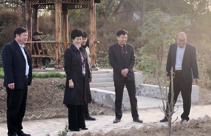 县人大常委会主任周燕到老颜集乡调研 县人大常委会主任周燕到老颜集乡调研