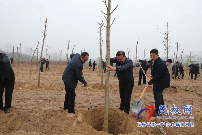 县领导参加冬季义务植树活动 县领导参加冬季义务植树活动