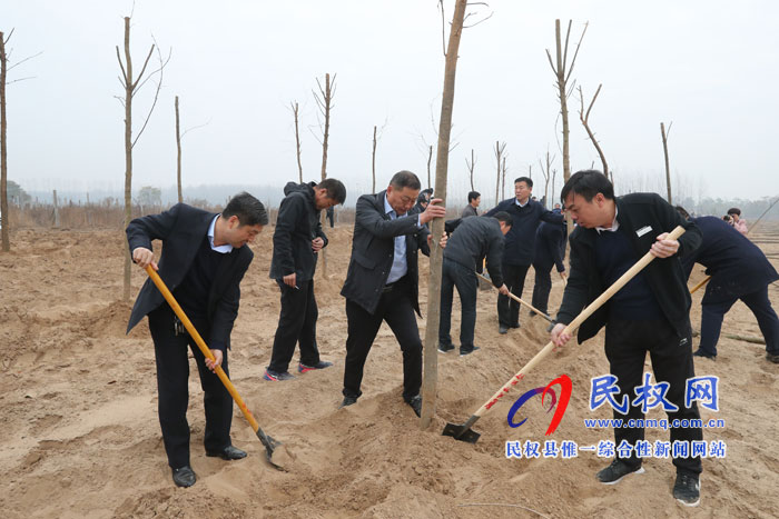 县领导参加冬季义务植树活动 县领导参加冬季义务植树活动