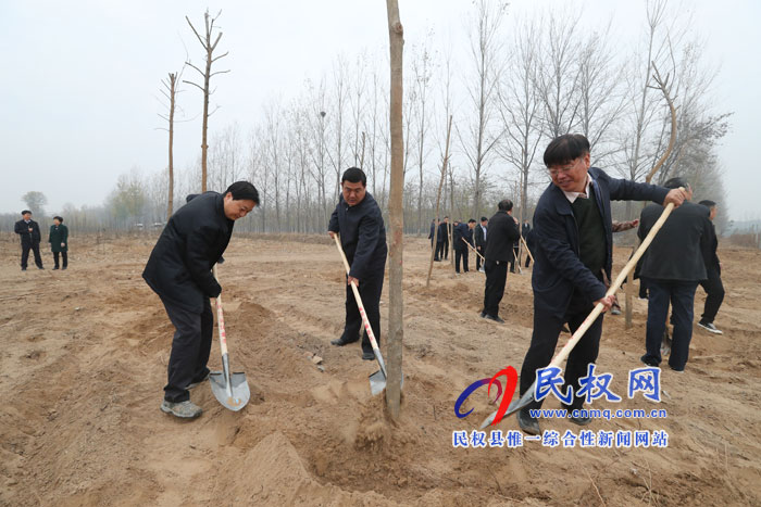 县领导参加冬季义务植树活动 县领导参加冬季义务植树活动