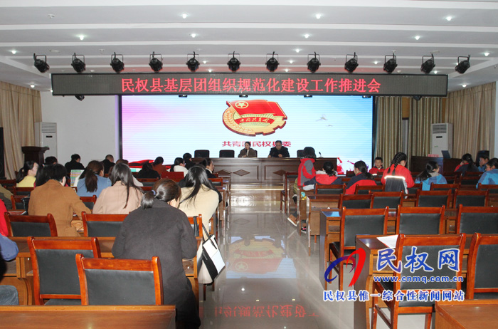 团县委组织召开基层团组织规范化建设推进会