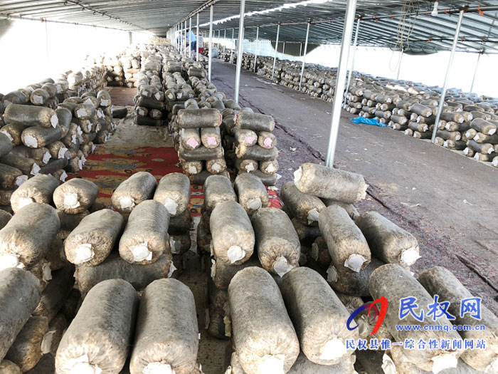 老颜集乡赵庄村“产业铺路 引领脱贫致富” 老颜集乡赵庄村“产业铺路 引领脱贫致富”