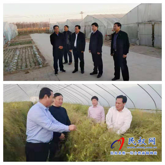 县委常委、政法委书记、副县长孟祥亮到双塔镇调研芦笋产业发展情况 县委常委、政法委书记、副县长孟祥亮到双塔镇调研芦笋产业发展情况