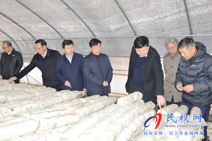 民权县国家级林下食用菌种植标准化示范区顺利通过考核验收 民权县国家级林下食用菌种植标准化示范区顺利通过考核验收