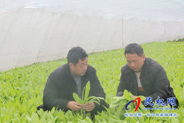 民权县林七乡:为返乡创业保驾护航 民权县林七乡:为返乡创业保驾护航