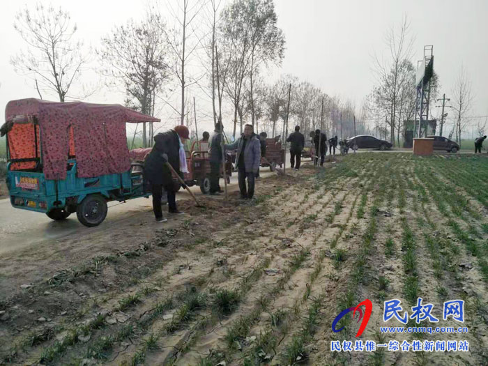 龙塘镇植树造林早动手 龙塘镇植树造林早动手
