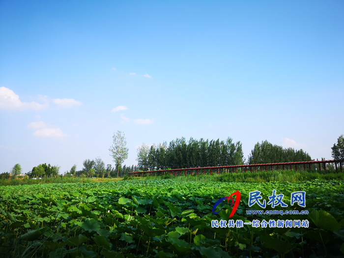 民权被住建部命名为国家园林县城 民权被住建部命名为国家园林县城