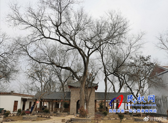 林七乡:做好人居环境整治 建设美丽宜居乡村 林七乡:做好人居环境整治 建设美丽宜居乡村