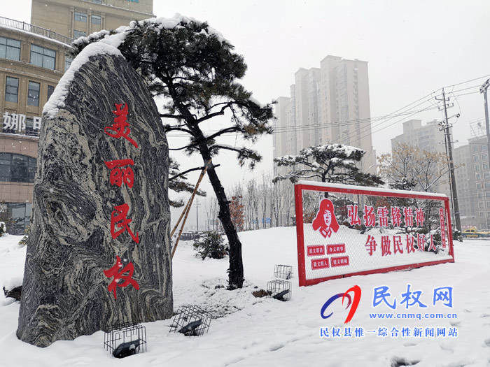 图说|河南民权：2020年的第一场雪，太美了吧!