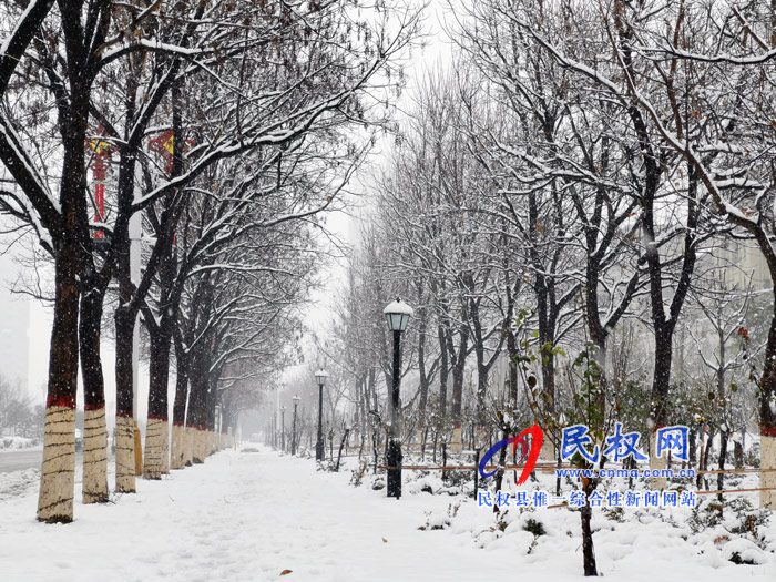 图说|河南民权：2020年的第一场雪，太美了吧!