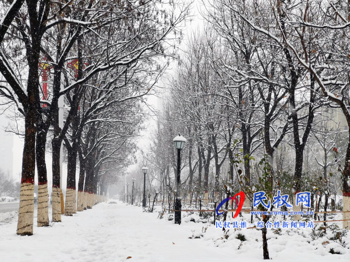 图说|河南民权:2020年的第一场雪,太美了吧! 图说|河南民权:2020年的第一场雪,太美了吧!