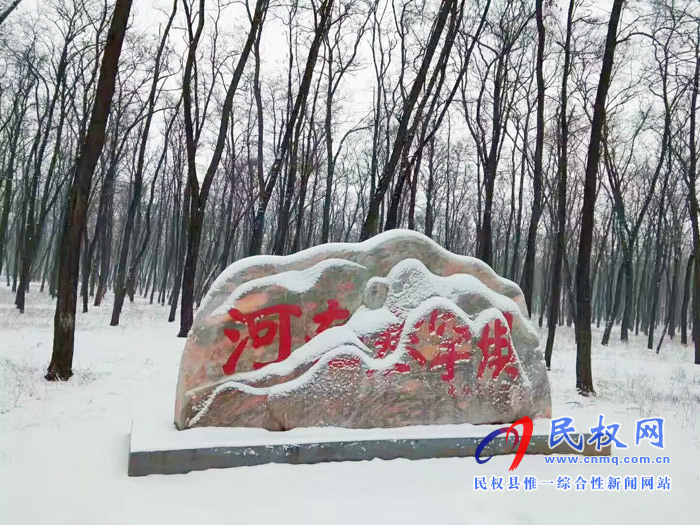 图说|河南民权：2020年的第一场雪，太美了吧!