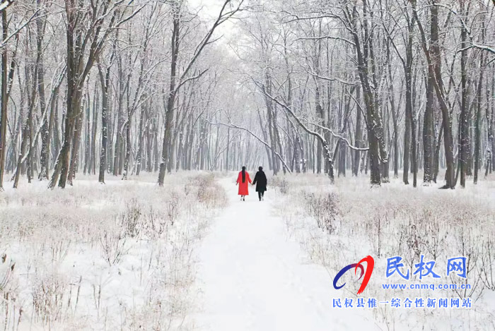 图说|河南民权：2020年的第一场雪，太美了吧!